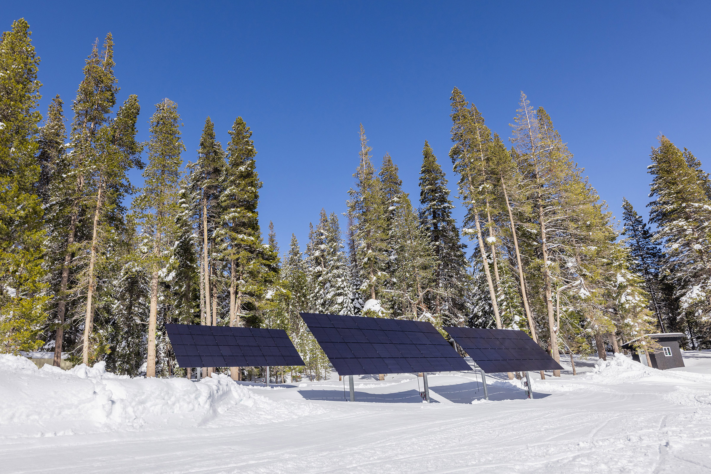 arrays in a snow field