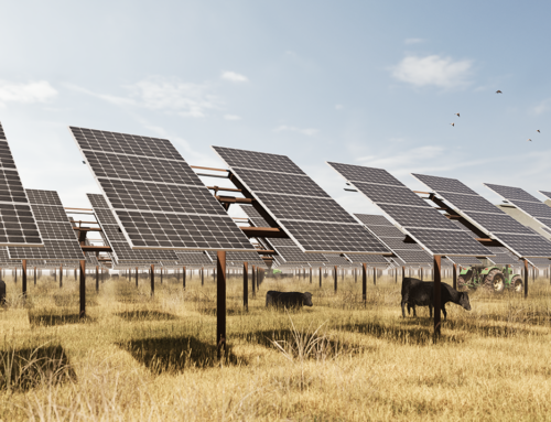 Solar Grazing Challenges and Possibilities