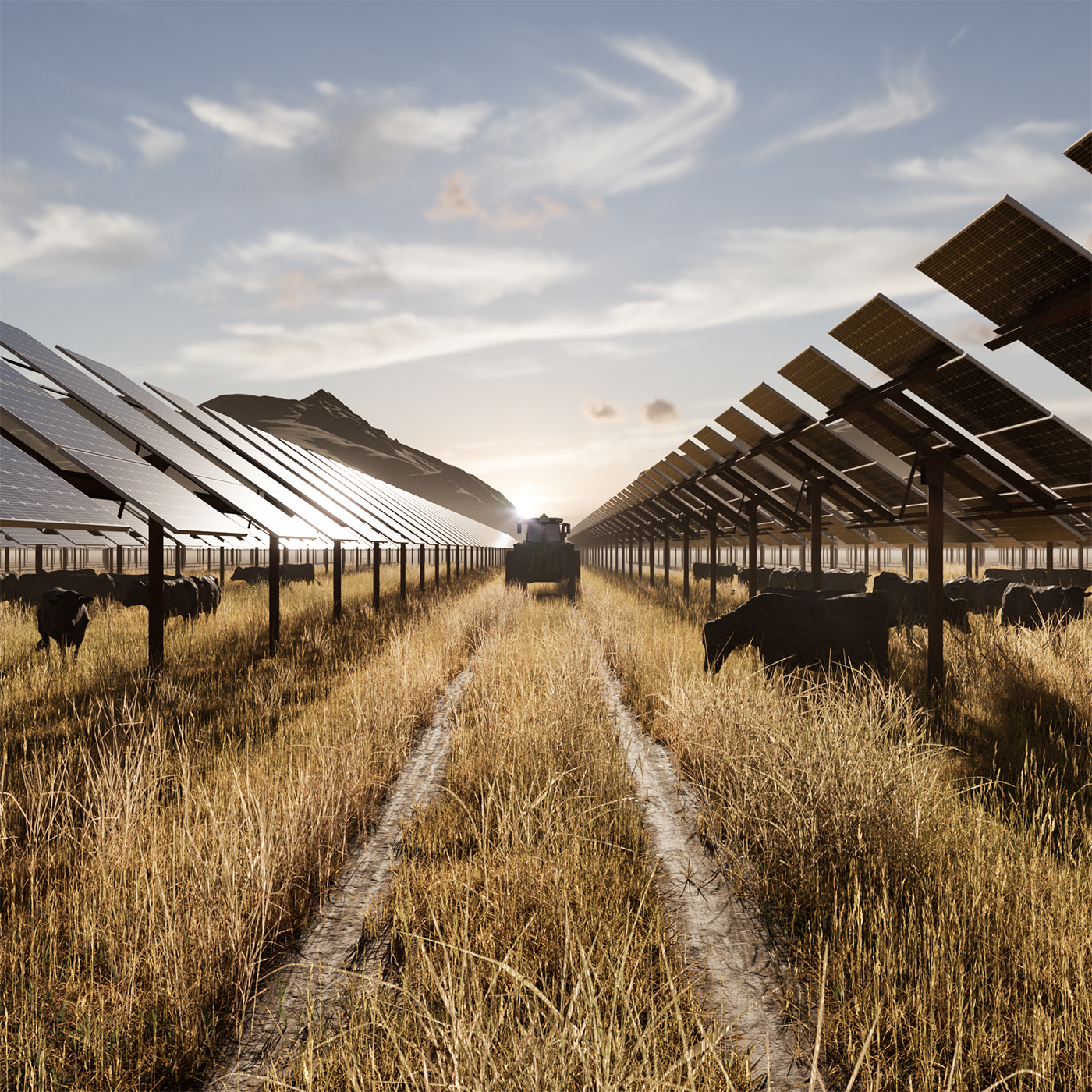 tractor and cows with solar panels